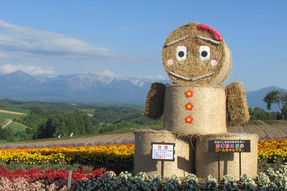 Hokkaido Furano Tomita Farm Tour With Melon Buffet Option - Melon Buffet Details