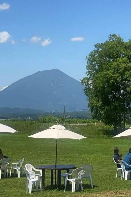 Hokkaido: Noboribetsu Lake Toya Day Tour From Sapporo - Participant Restrictions