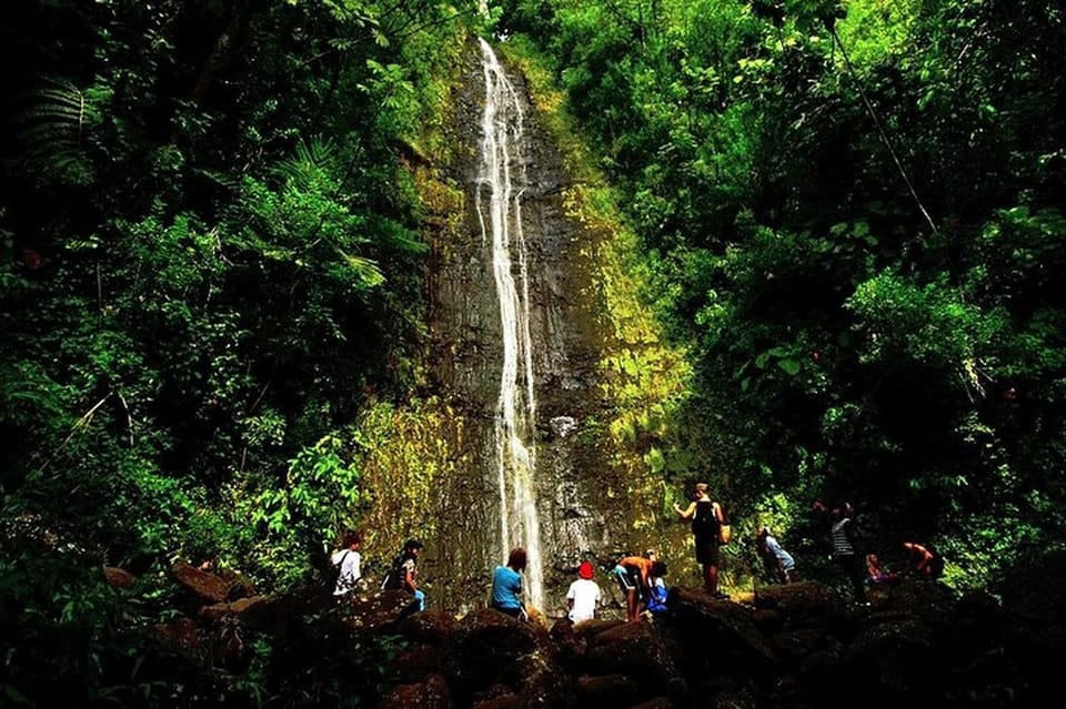 Honolulus Backyard Rainforest Tour: Audio Tour Guide - Important Information and Recommendations