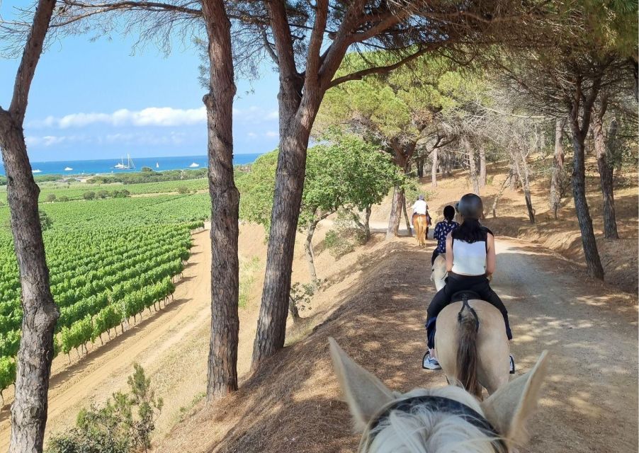 Horse Back Riding + Wine Tasting in Ramatuelle - Accessibility and Group Size