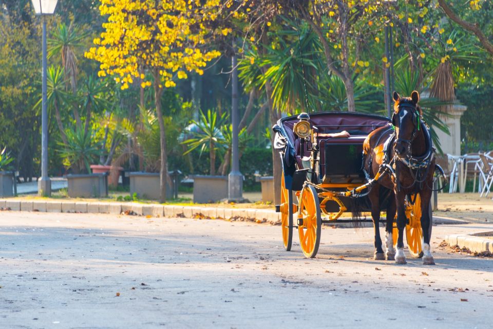 Horse-Drawn Carriage Ride Through Seville - Carriage Ride Itinerary and Highlights