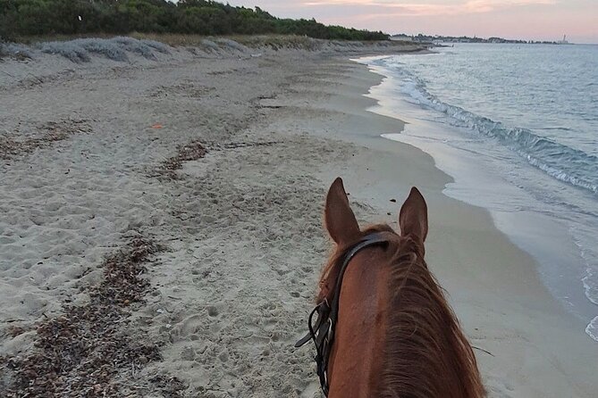 Horse Ride in a Salento Nature Reserve With Transfer From Lecce - Pricing and Cancellation Policy