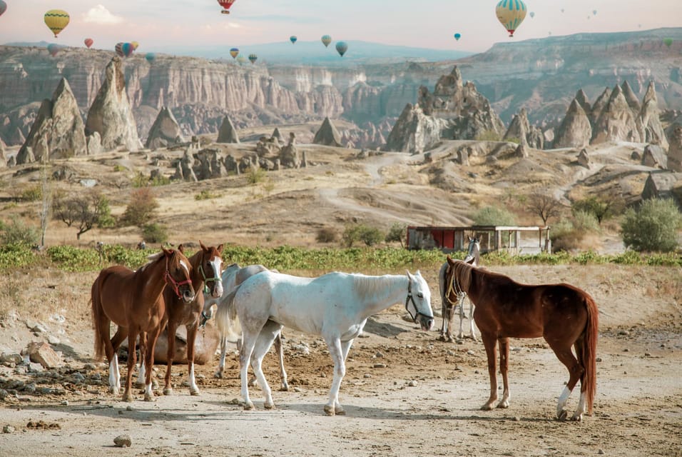 Horse Riding Cappadocia- Cappadocia Horse Farm - Transportation Details