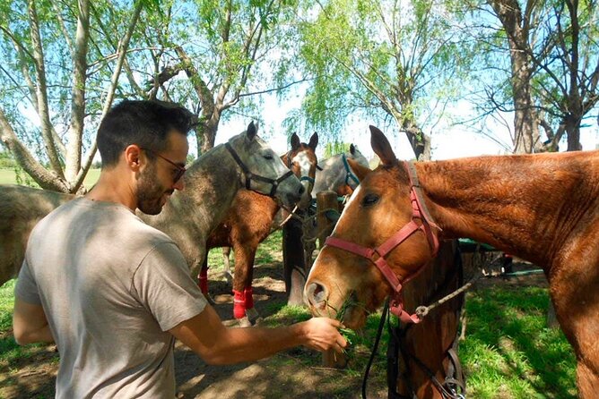 Horseback Riding Adventure With Asado in Buenos Aires! - Price and Lowest Price Guarantee