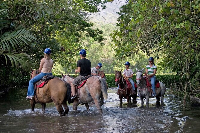 Horseback Riding Around Arenal Volcano Base - Wildlife Sightings