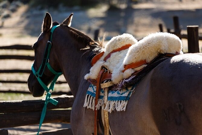 Horseback Riding Experience in the Estancia 25 De Mayo Nature Reserve - Itinerary and Departure Details