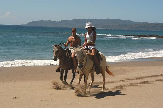 Horseback Riding Jungle and Beach in Playa Flamingo - Tour Logistics