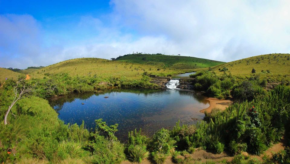 Horton Plains National Park Tour & Scenic Train Ride - Inclusions