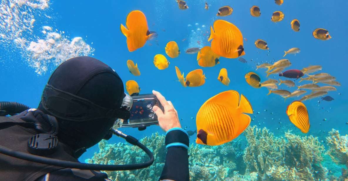 Hurghada: Diving & Snorkeling Cruise Tour W Lunch & Drinks - Itinerary and Inclusions