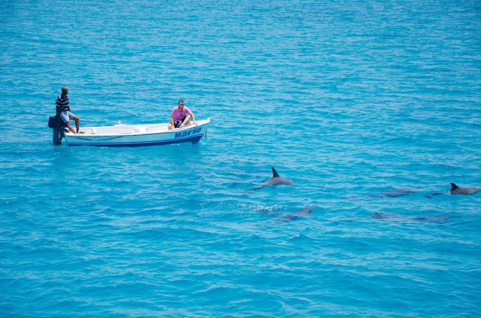 Hurghada: Orange Island & Dolphin Watching Snorkeling Trip - Unique Highlights