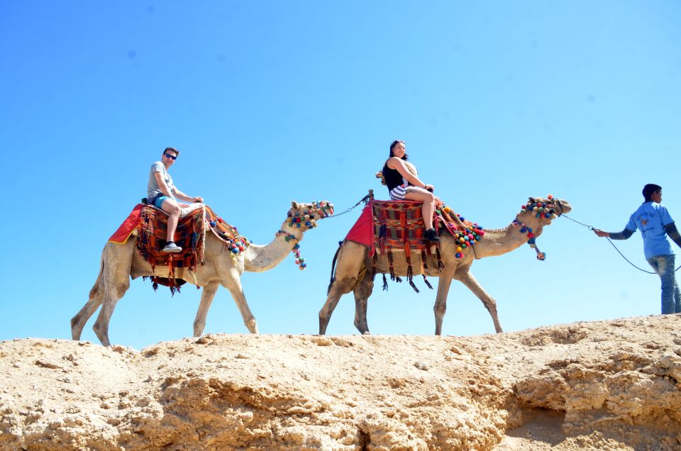 Hurghada: Sea & Desert Camel Ride W/Dinner, Show, Stargazing - Booking Process