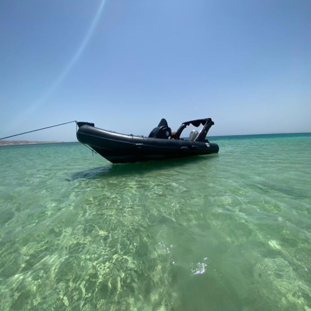 Hurghada: Speedboat Dolphin Watching & Snorkeling With Lunch - Itinerary Details