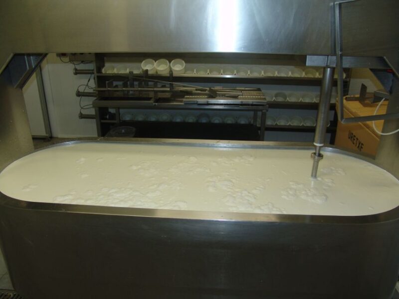 Idiazabal Cheese Tour From San Sebastian - Cancellation Policy