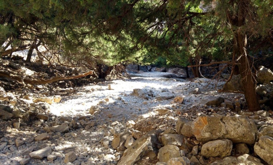 Imbros Gorge Hike From Rethymno - Highlights and Experience