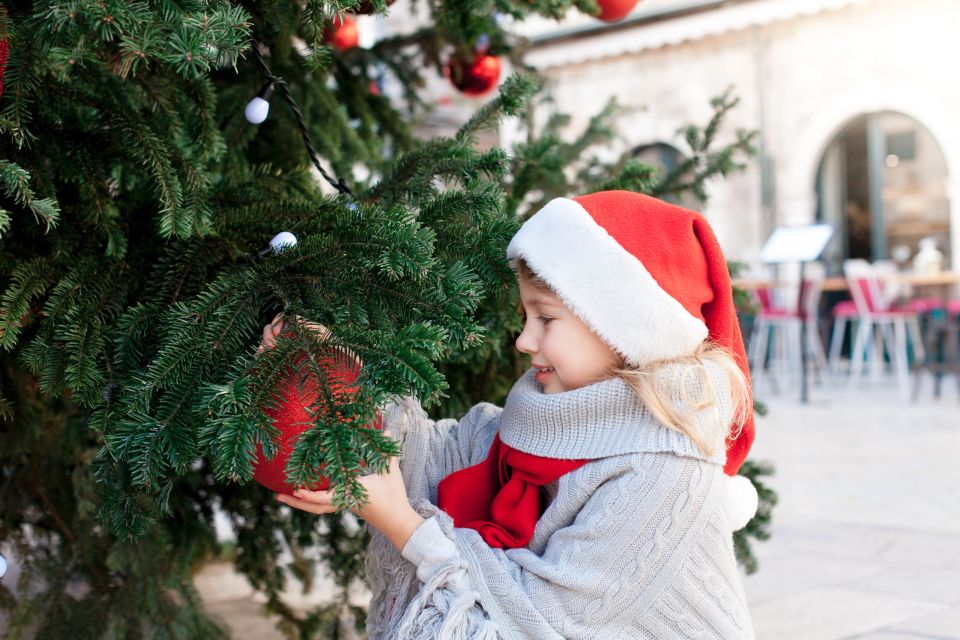 Inspiring Christmas in Dubrovnik - Walking Tour - Tour Highlights