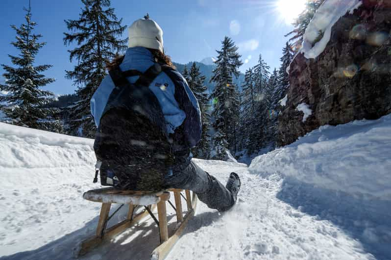 Interlaken: Guided Sledging Adventure - Pricing and Duration