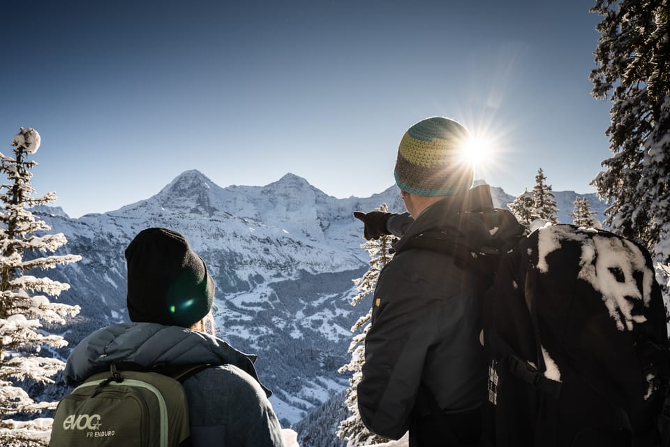 Interlaken: Winter Alpine Adventure - Snowshoe and Sledding - Sledding Excitement