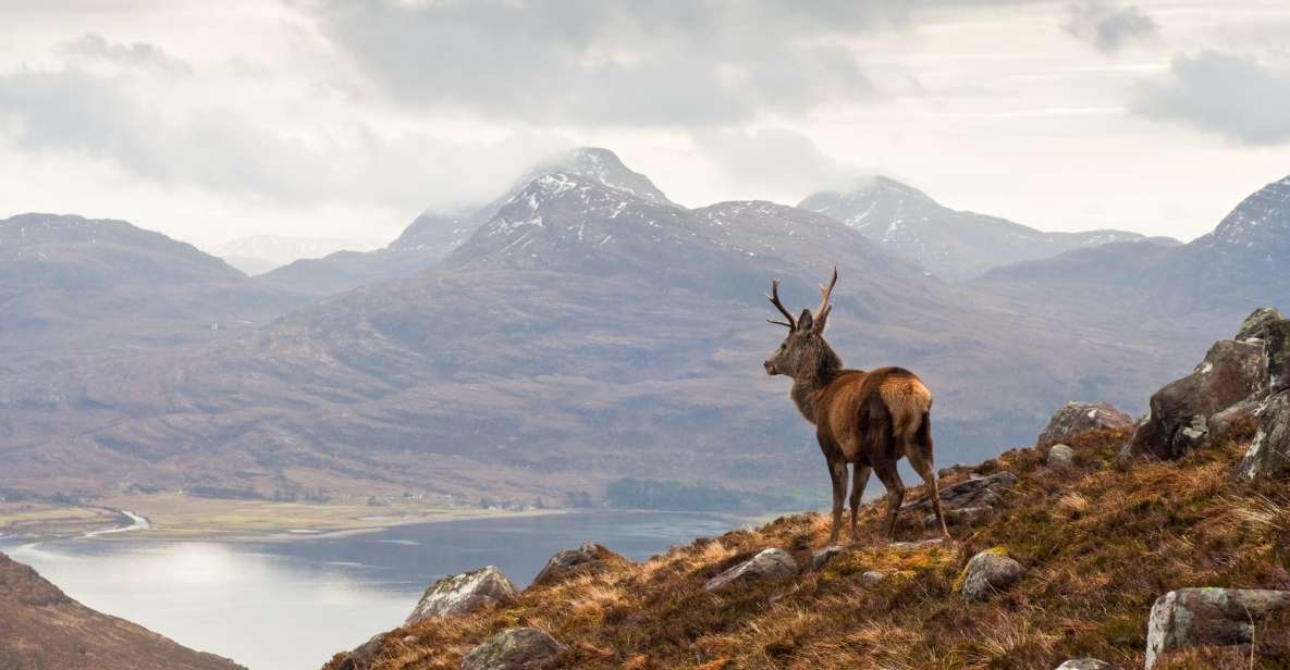 Inverness: Applecross, Loch Carron & Wild Highlands Day Tour - Scenic Beauty