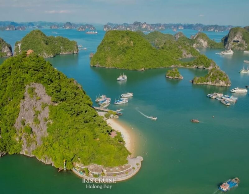 Iris Cruise - Luxury Day Cruise From Halong Bay With Kayak - Highlights and Experiences