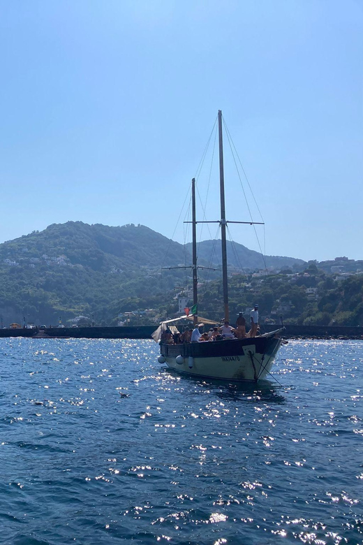 Ischia: Guided Boat Tour With Swimming and Traditional Lunch - Inclusions and Accessibility