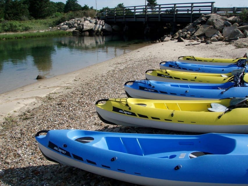 Island Spirit Kayak Rentals at State Beach - Experience Highlights