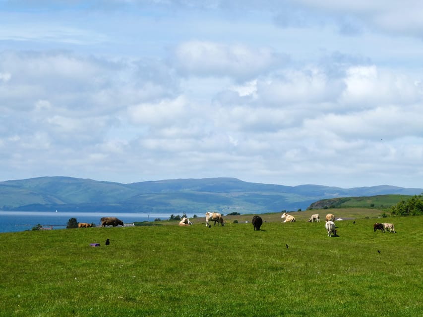 Isle of Arran: Exclusive Private Farm Tour With the Farmer - Guided Tour Details