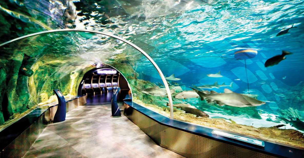 Istanbul Aquarium and Aqua Florya Shopping Mall Tour - Thematic Journey Experience