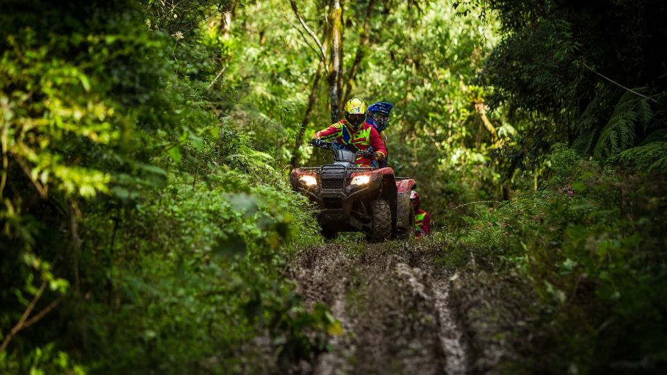 Istanbul: Belgrad Forest ATV Tour With Ziplining Option - Experience Highlights