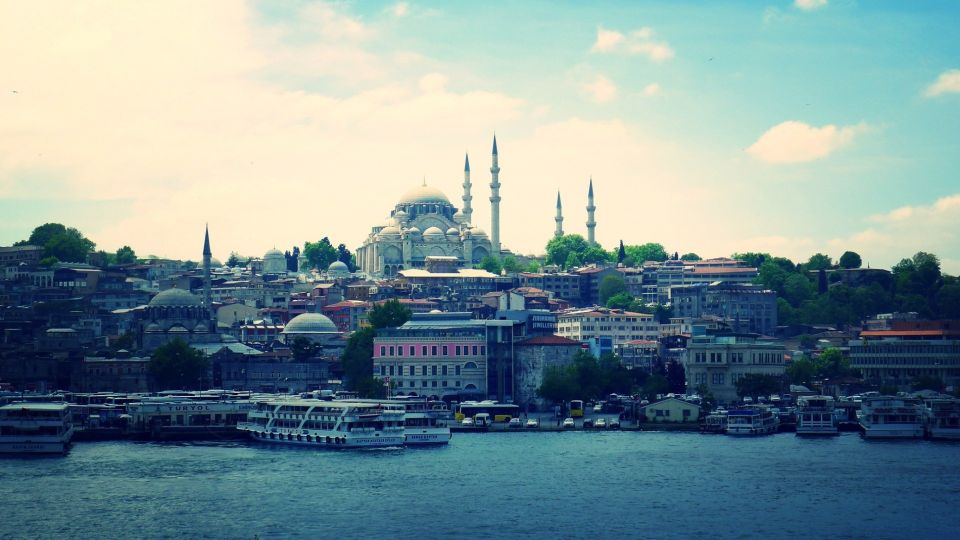 Istanbul Scenic Half-Day Bosphorus Cruise - Inclusions and Amenities