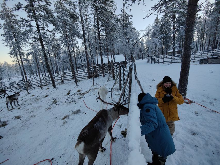 Ivalo: Northern Lights Holiday in Northern Lapland - Unique Activities Offered