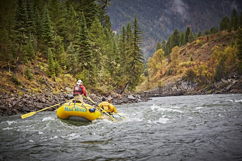 Jackson: 8-Mile Classic Boat Whitewater Rafting Trip - Inclusions