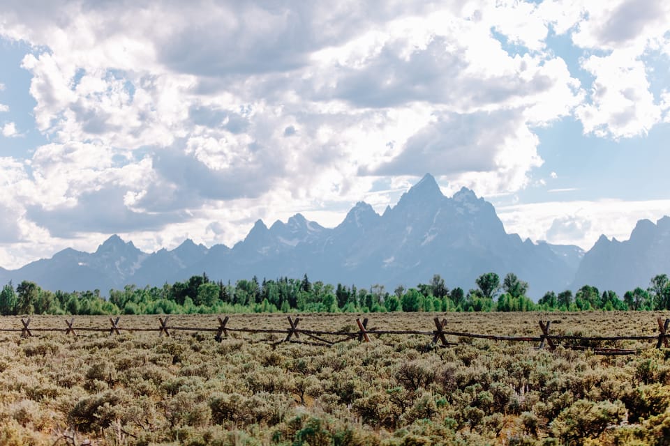 Jackson: Grand Teton Sunrise Safari With Naturalist Guide - Scenic Journey Details