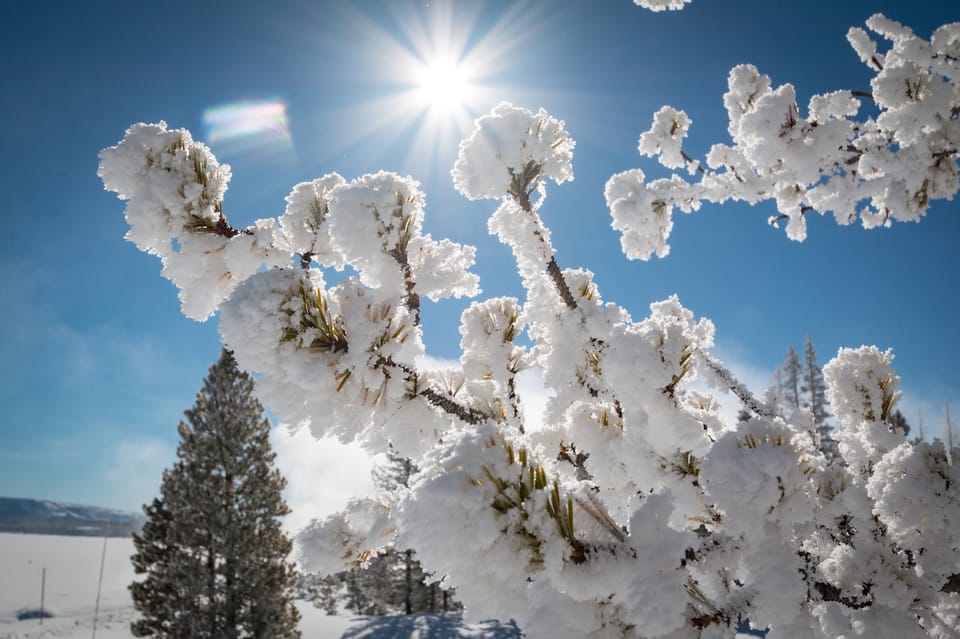 Jackson: Yellowstone Snowmobile Tour to Old Faithful - Detailed Itinerary