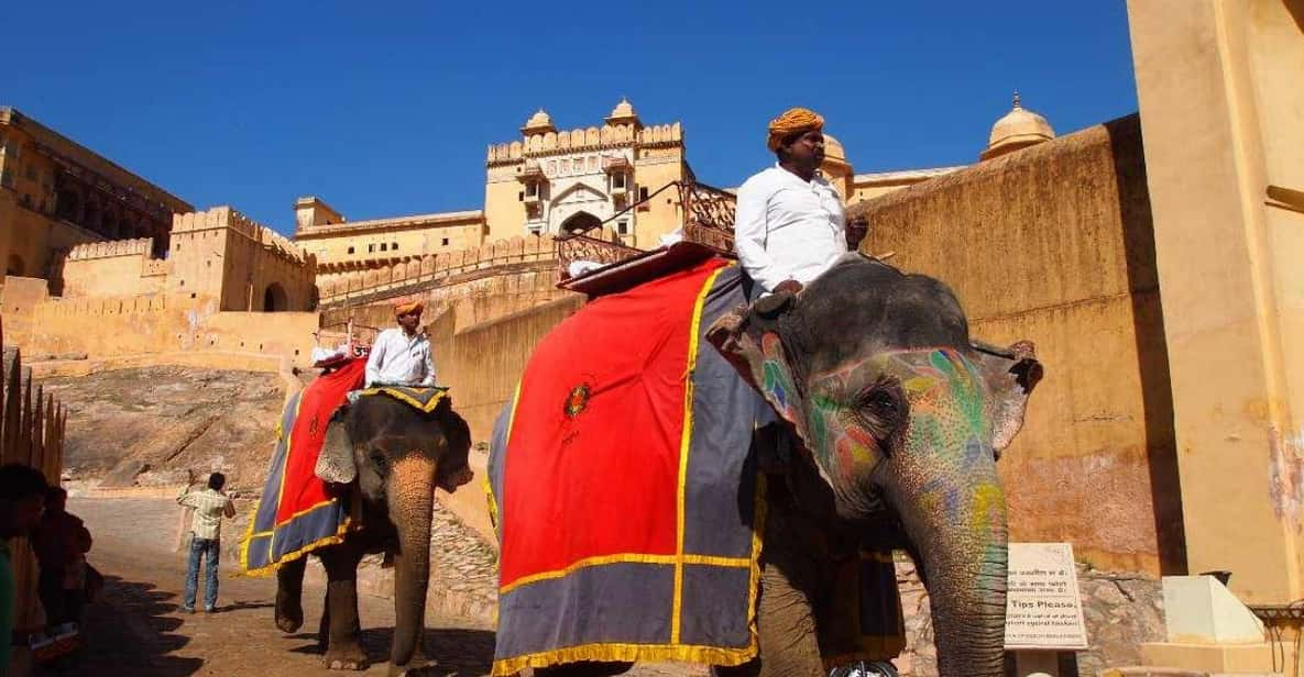 Jaipur Amber Fort With Gems and Jewelry Guided Tour - Accommodation and Meals