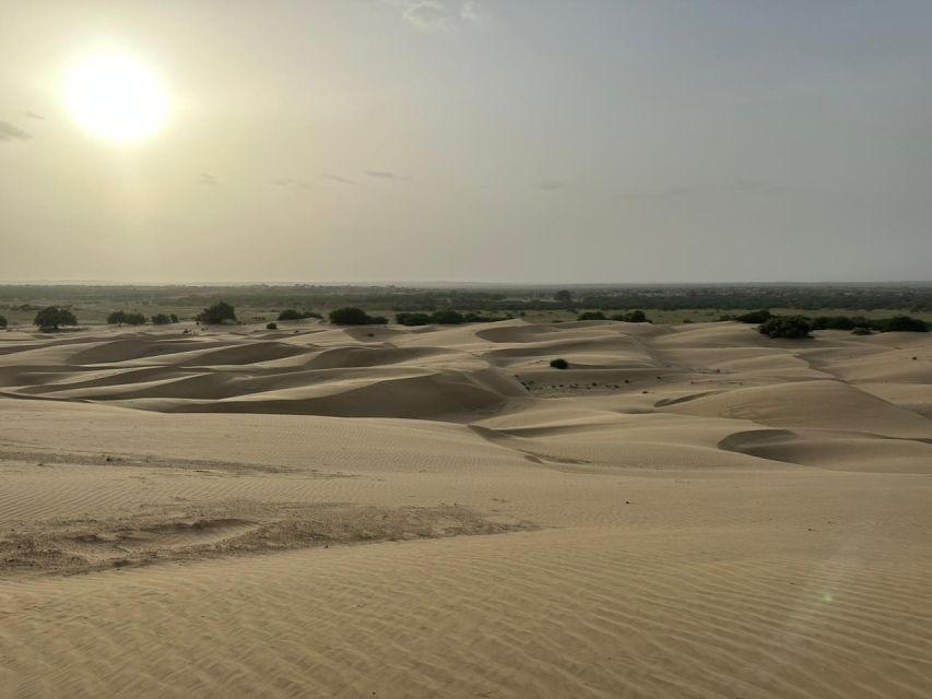 JAISALMER DESERT EXPERIENCE : SLEEPING UNDER THE STAR - Itinerary Overview