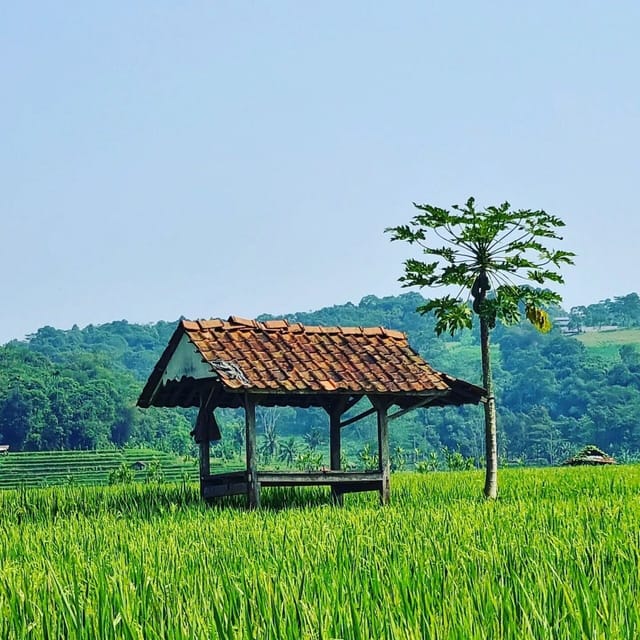 Jakarta: Volcano, Tea/Rice Fields, Hot Spring, Local Food - Visiting Tangkuban Perahu Volcano