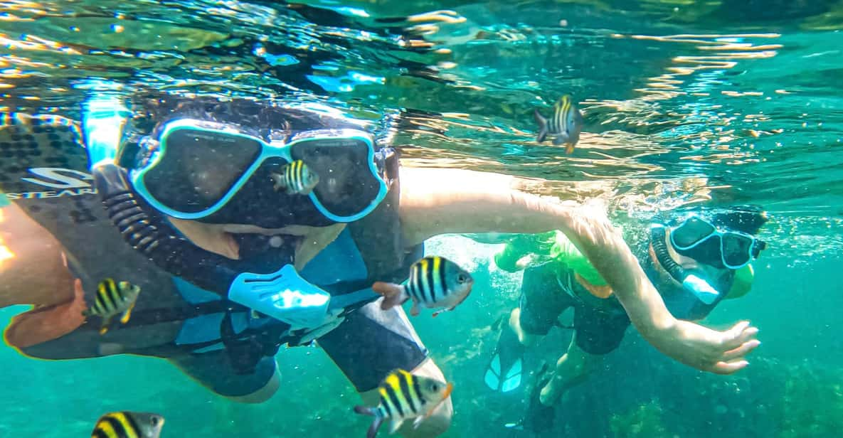 Japan: Snorkeling Adventure on a Boat - Guidelines for Participants