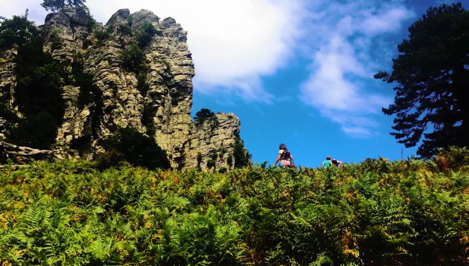 Jeep Safari in Thassos Mountain - Tour Inclusions