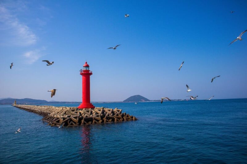 Jeju UNESCO Attractions Full-Day Tour With Daily Chauffeur - Southwest Jeju Itinerary