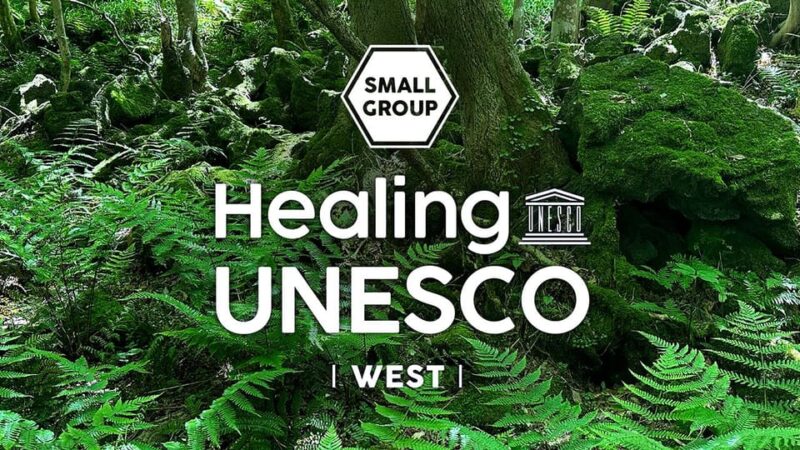 Jeju West: Healing UNESCO Small Group Day Tour - Nature and Healing Experience
