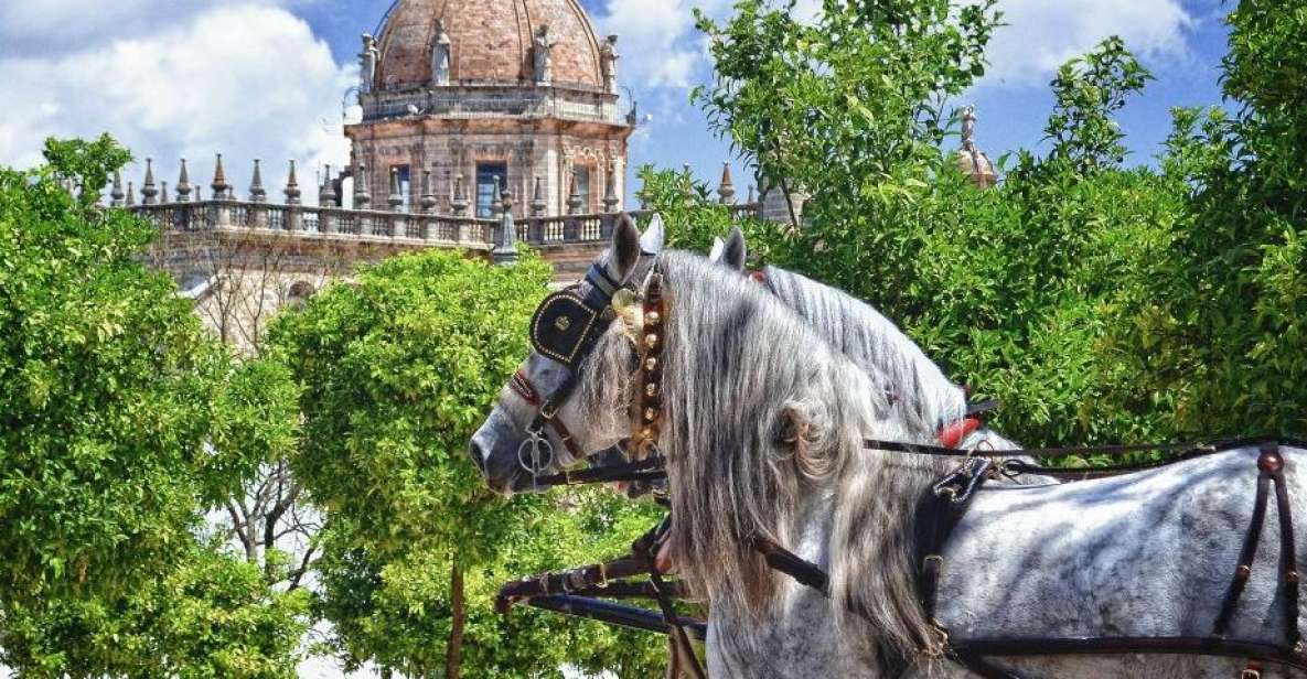 Jerez: Historic Center Guided Tour - Guided Tour Details