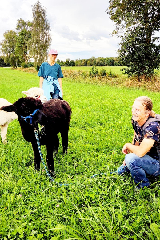 Jettingen-Scheppach: Exclusive Alpaca Couple Hike - Informative Session on Alpacas