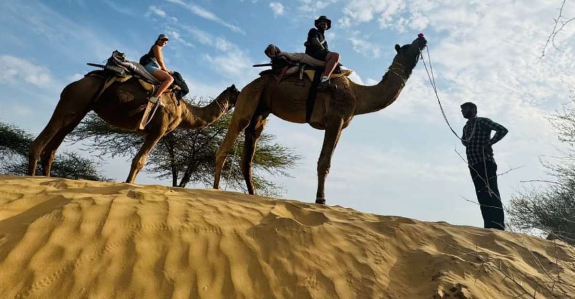 Jodhpur Camel Safari With Traditional Food With Sumer - Included Features