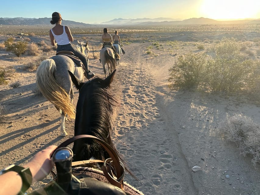 Joshua Tree: Horseback Trail Riding Adventure With a Guide - Guided Ride Details