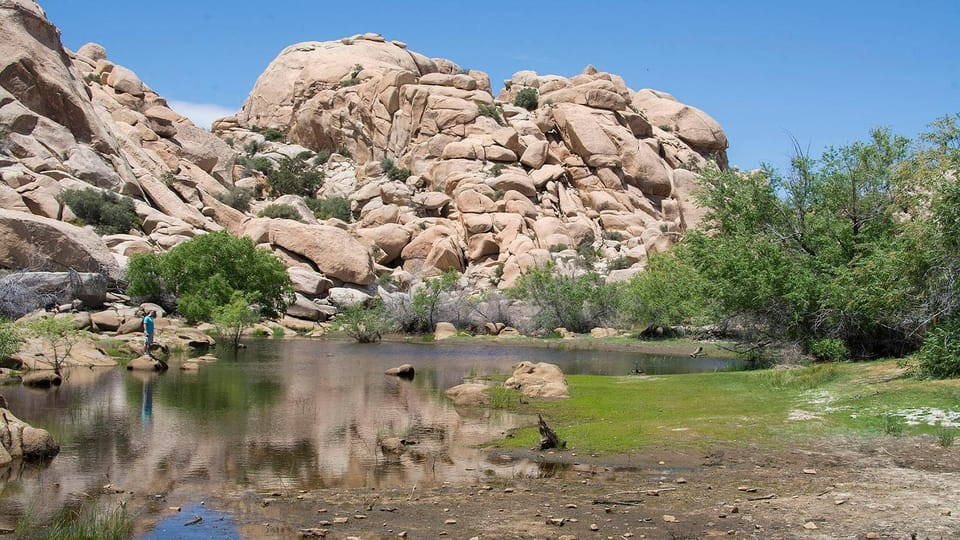 Journey Into Joshua Tree: Audio Driving Tour and Local Guide - Tour Features