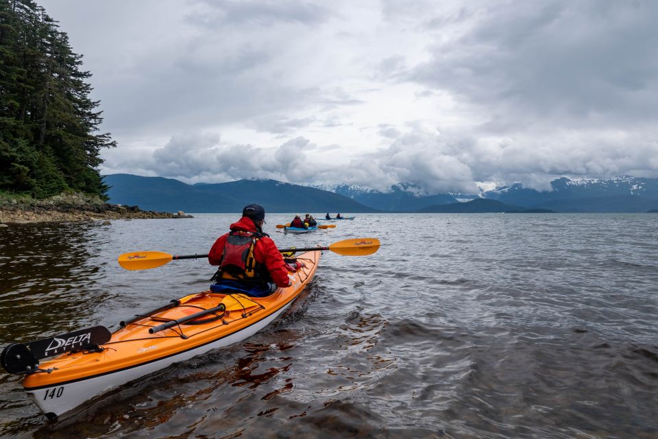 Juneau: Channel Islands Whale Watching Kayak Adventure - Itinerary Highlights