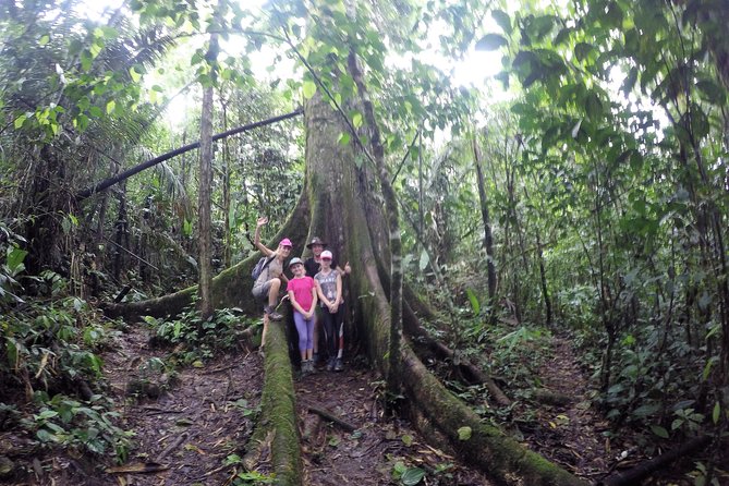 Jungle Nature and Adventure 1 Day - Host Response