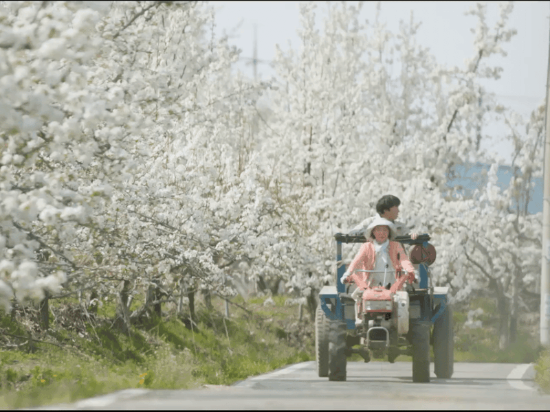 K-Drama Queen of Tears Filming Location One Day Tour - Tour Logistics
