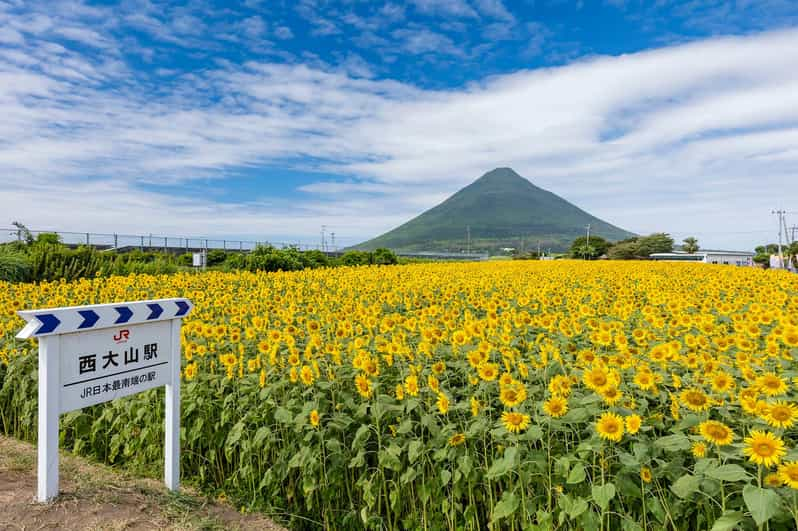 Kagoshima: Ibusuki City and Mount Kaimon Dake Tour - Geothermal Sand Bath Experience