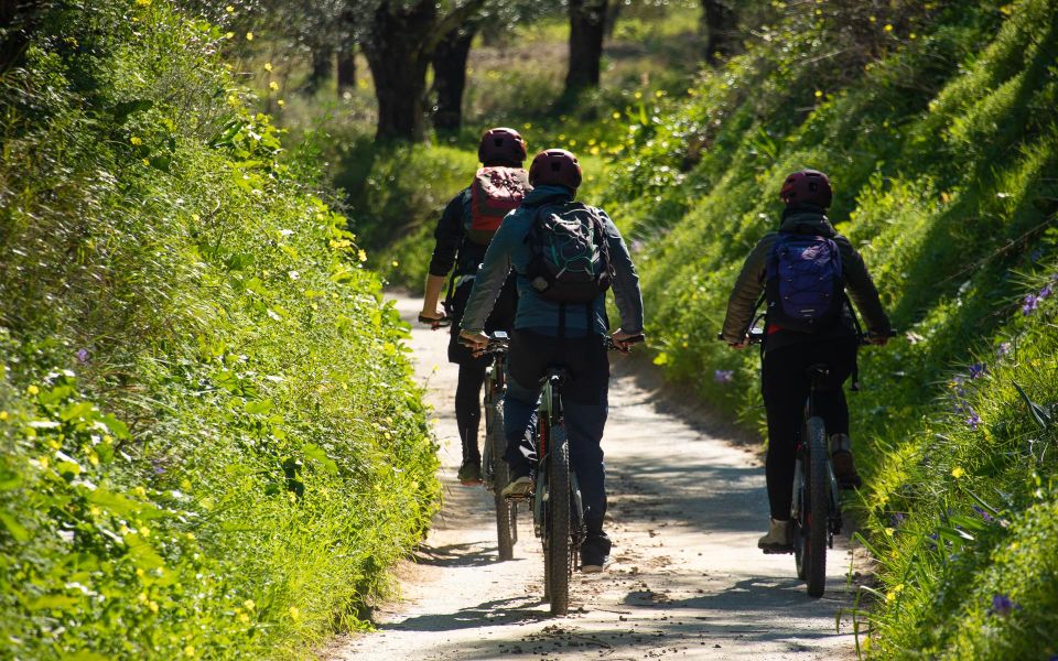 Kalamata: Olive Grove E-Mountain Bike Tour With Picnic Lunch - Inclusions